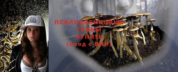 трава Алексин