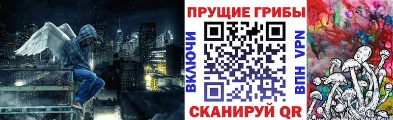 kraken как войти  Нелидово  Псилоцибиновые грибы ЛСД 