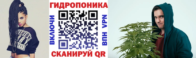 Конопля сатива наркошоп Нелидово